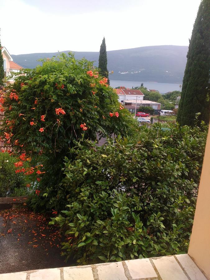 Hotel Sobe Baosici Marina Herceg Novi Zewnętrze zdjęcie